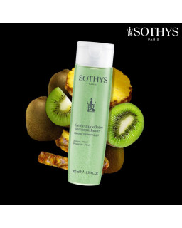 Gelée micellaire ananas/kiwi